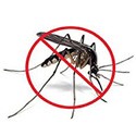 Soins anti-moustique bio